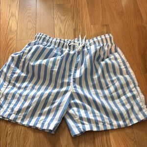 Athletic Blue and White Striped Swim Shorts